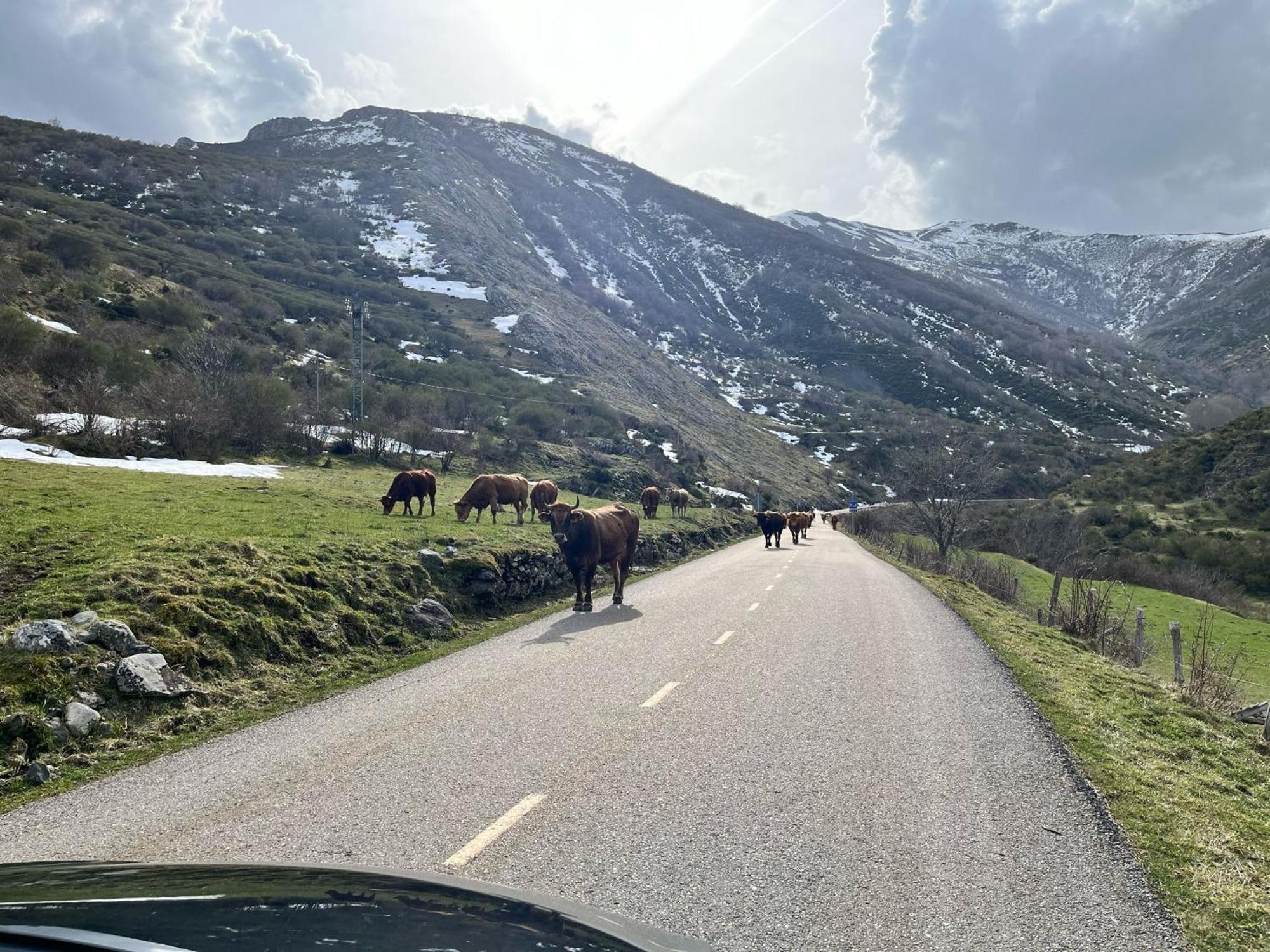 Casas Rurales Cuatro Valles Naredo de Fenar Bagian luar foto