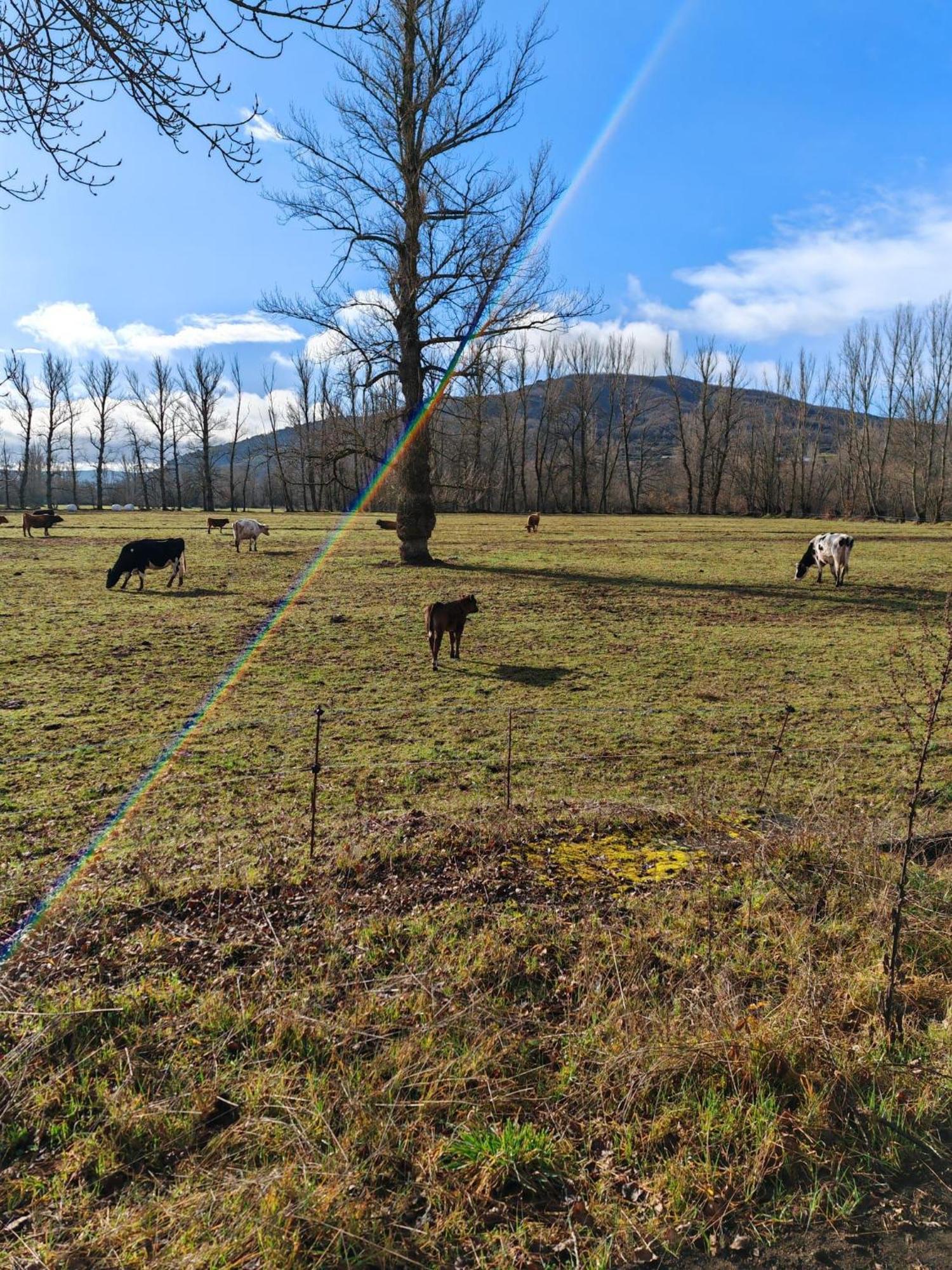 Casas Rurales Cuatro Valles Naredo de Fenar Bagian luar foto