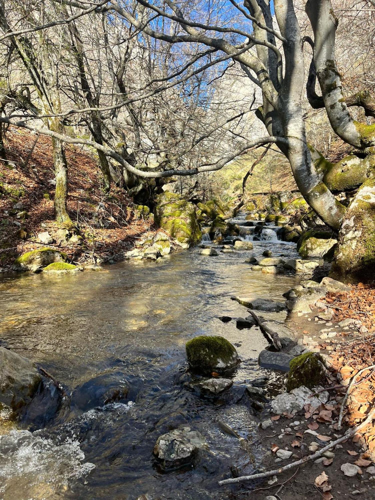 Casas Rurales Cuatro Valles Naredo de Fenar Bagian luar foto