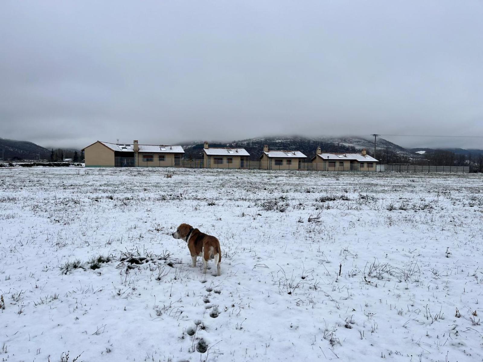Casas Rurales Cuatro Valles Naredo de Fenar Bagian luar foto